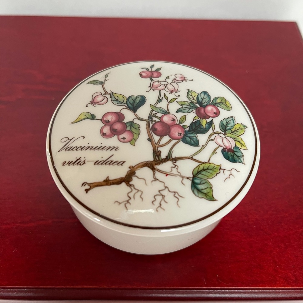 Villeroy & Boch botanica pattern trinket box jewelry ceramic flower floral